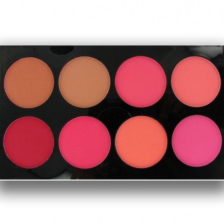 Technic Colour Fix Blush Palette